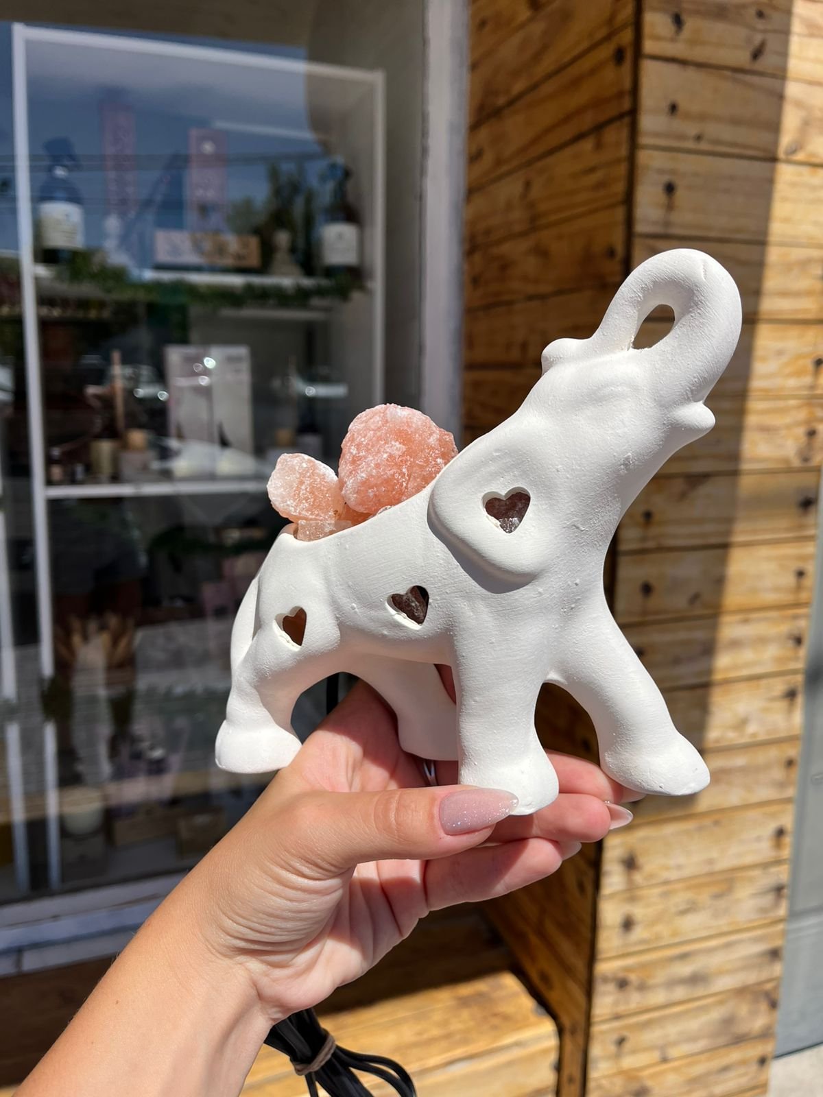 ELEFANTE DE LA ABUNDANCIA